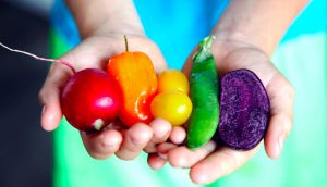 vegetables-in-hands